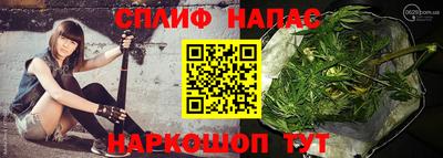 СК Абакан