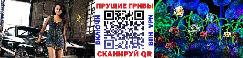 Псилоцибиновые грибы GOLDEN TEACHER где можно купить наркотик mega как войти Александров